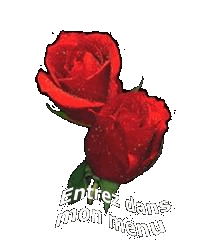 entrez