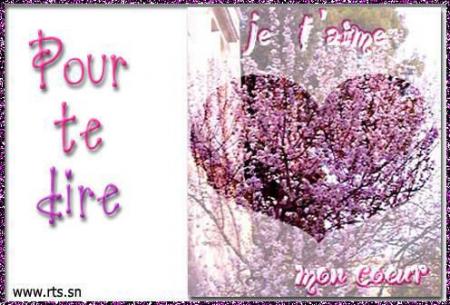 pour te ................................